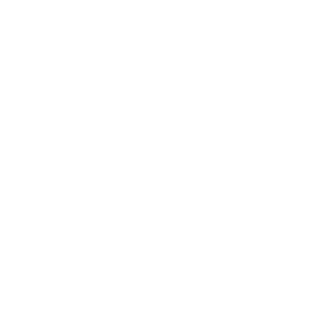 Pelican Academy Logo